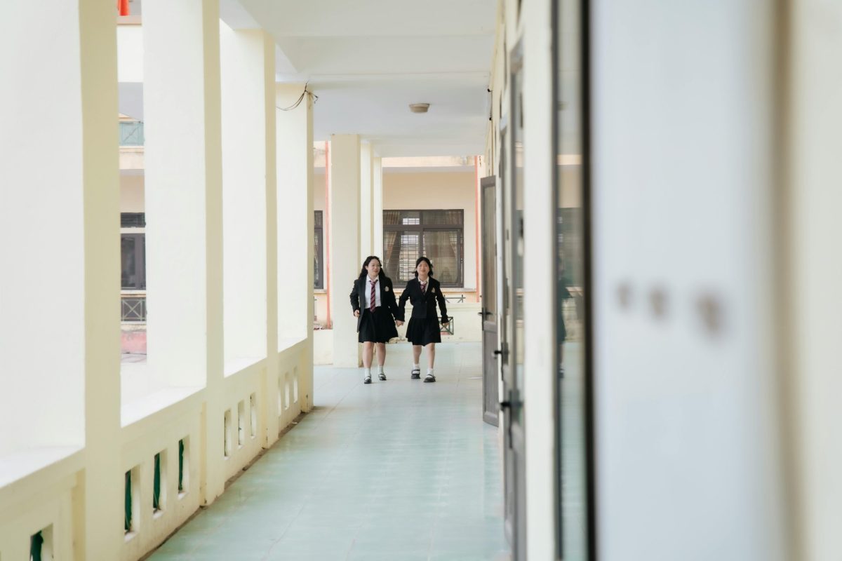 학교폭력 가해자 구제 학교폭력 피해자 구제 행정사 상